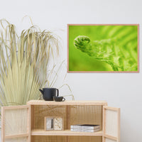 Fern Curl Botanical Nature Photo Framed Wall Art Print