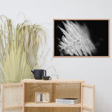 Fern Leaf In the Sunlight Black and White Botanical Nature Photo Framed Wall Art Print
