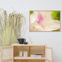 Japanese Azalea Floral Nature Photo Framed Wall Art Print