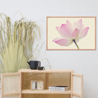 Lotus Flower Creamy Haze Effect Floral Nature Photo Framed Photo Paper Poster