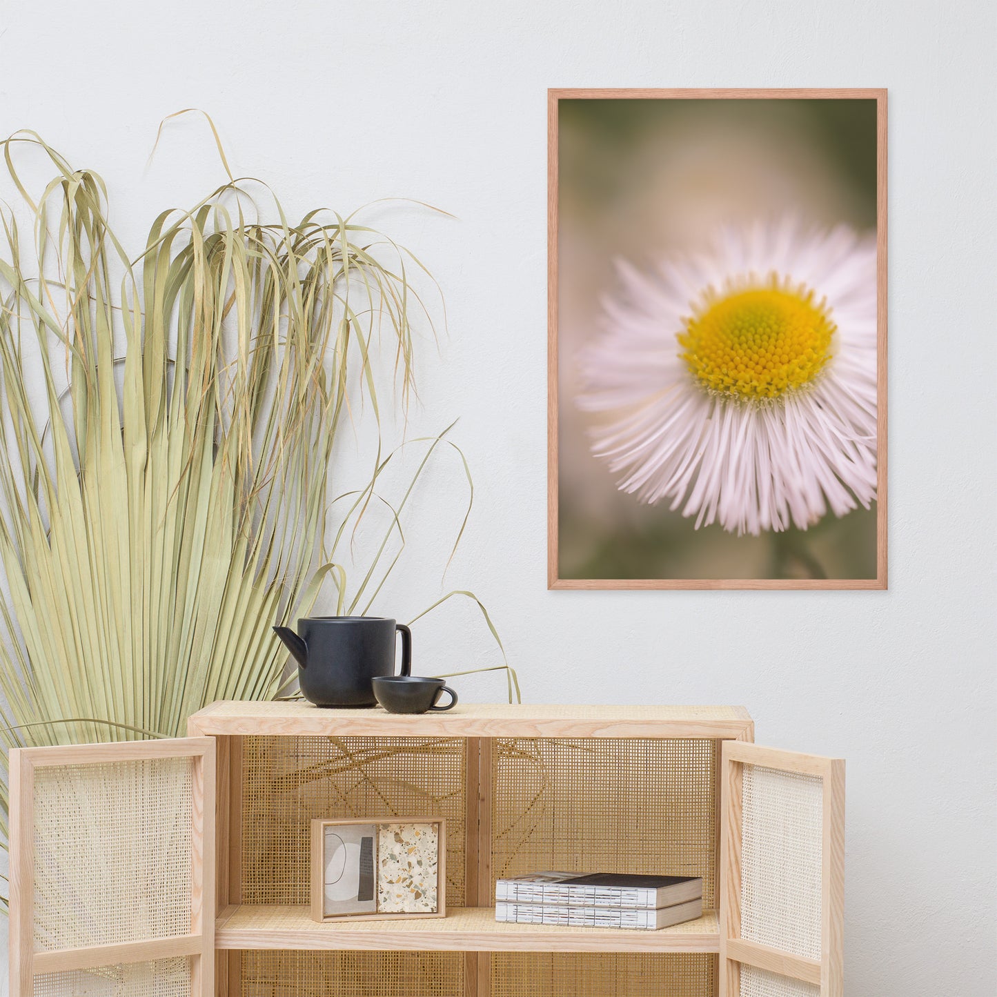 Philadelphia Fleabane Single Bloom Floral Nature Photo Framed Wall Art Print