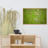Softened Fields Botanical Nature Photo Framed Wall Art Print