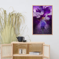 Stigma of Iris Floral Nature Photo Framed Wall Art Print