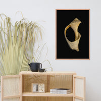 States of Erosion Image 2 Whelk Shell Coastal Nature Photo Framed Wall Art Print