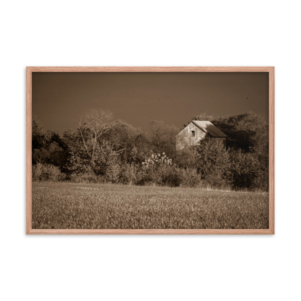 Rustic Pictures For Wall: Framed Country Wall Art: Abandoned Barn In The Trees Sepia - Rural / Country Style / Landscape / Nature Framed Photo Paper Prints - Artwork - Wall Decor