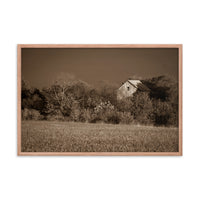 Abandoned Barn In The Trees Sepia Framed Photo Paper Wall Art Prints