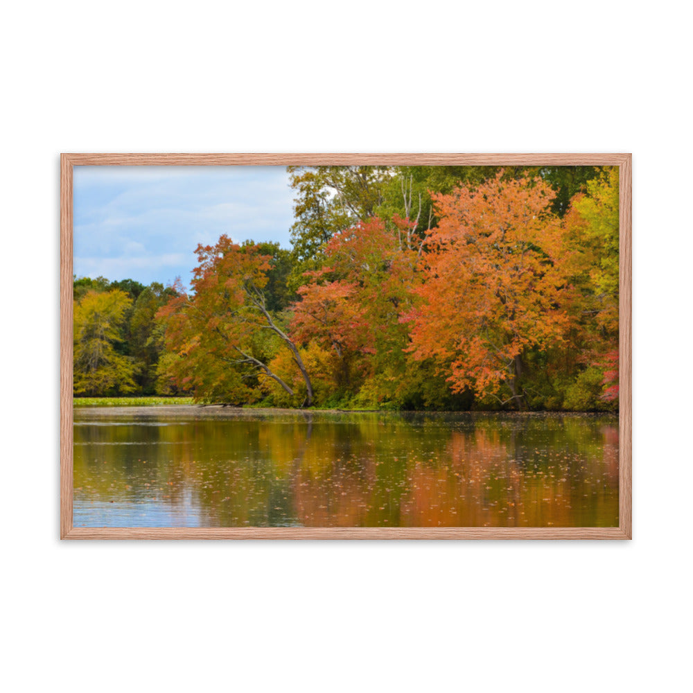 Rustic Framed Wall Art: Autumn Tree Line - Rural / Country Style Landscape / Nature Photograph  Framed Wall Art Print - Wall Decor - Artwork