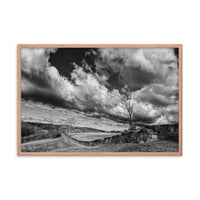Dead Tree and Stone Wall in Black and White Framed Photo Paper Wall Art Prints