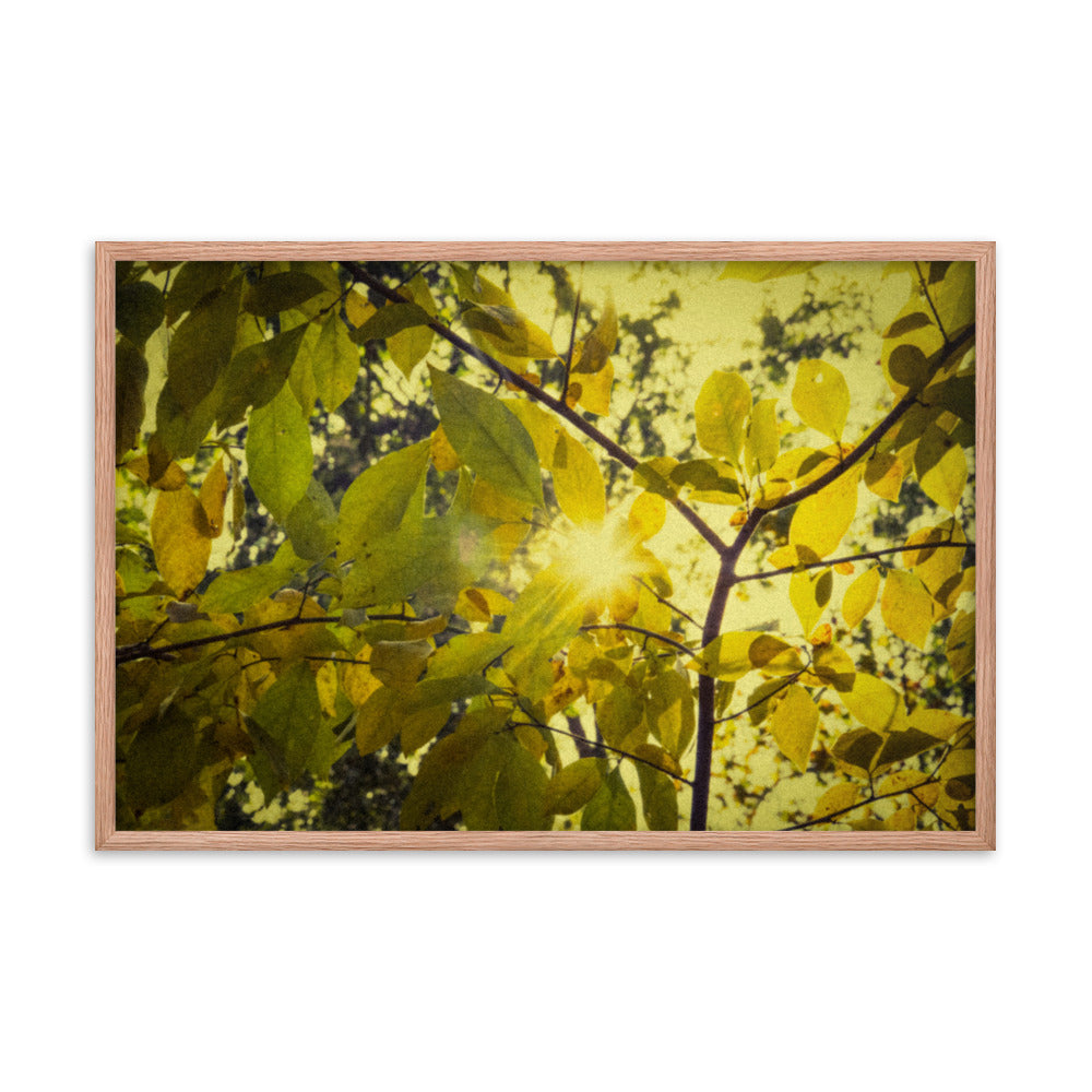 Entryway Artwork Ideas: Aged Golden Leaves Abstract / Country Farmhouse Style / Botanical / Nature Photo Framed Wall Art Print - Artwork - Home Decor
