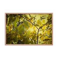 Aged Golden Leaves Botanical Nature Photo Framed Wall Art Print