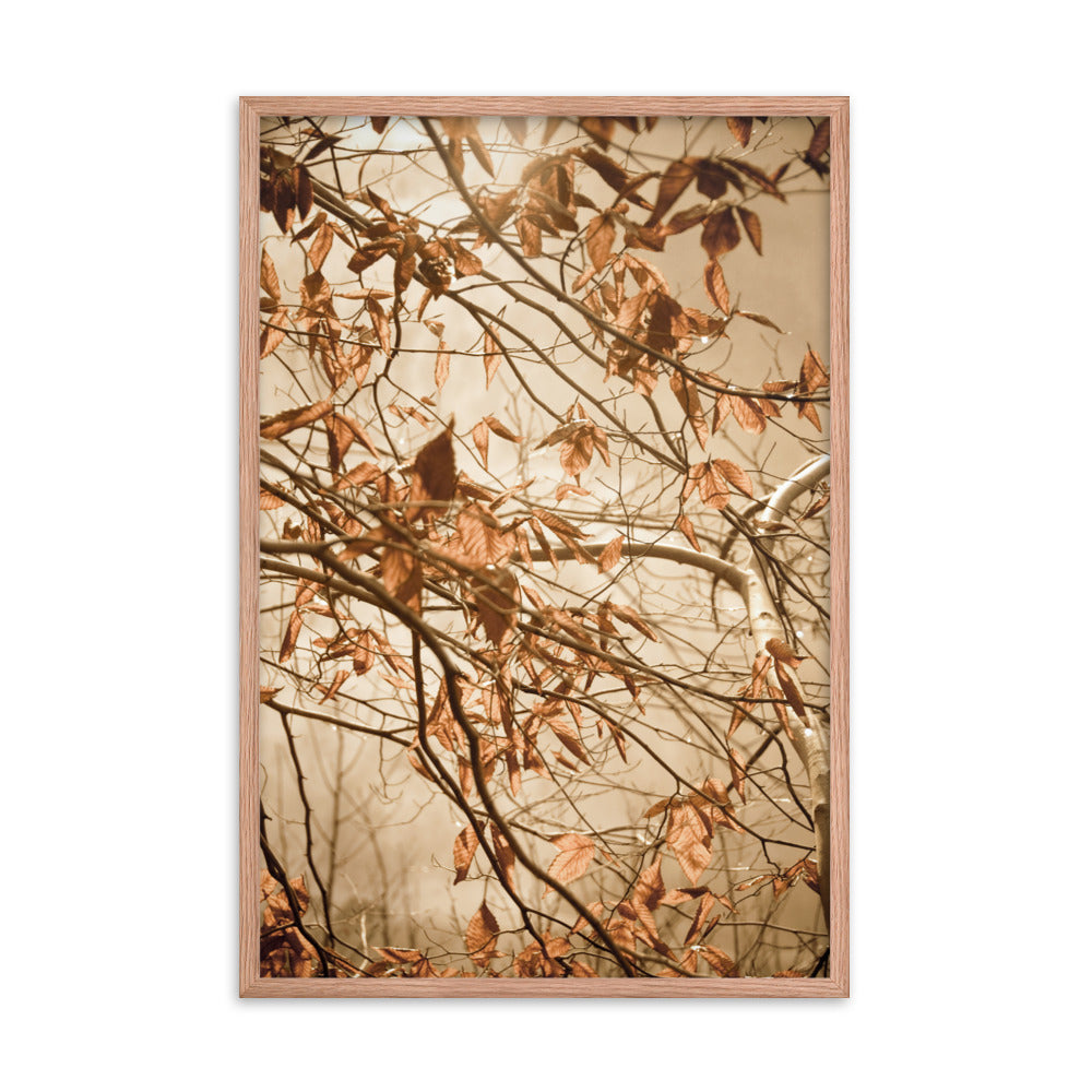 Wall Art For Hall Stairs And Landing: Aged Winter Leaves Botanical / Nature Photo Framed Wall Art Print - Artwork - Farmhouse Style Wall Decor