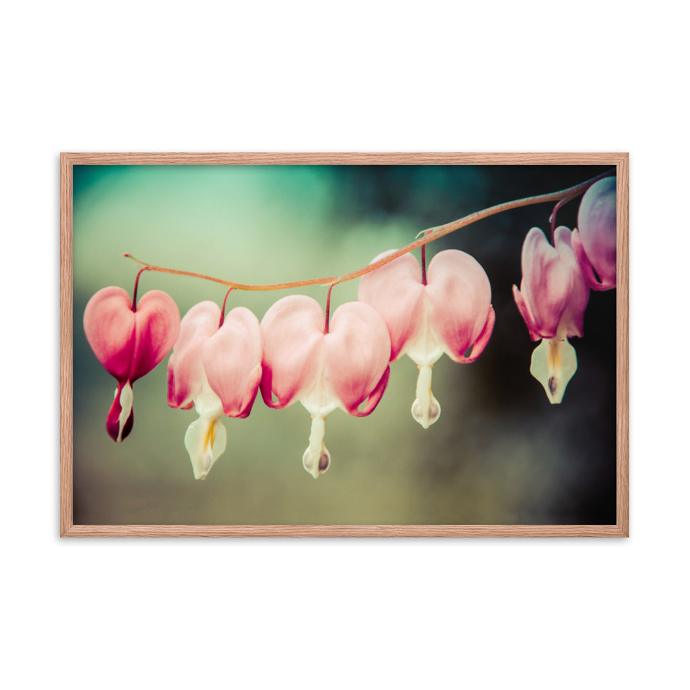 Be Still My Bleeding Heart Colorized Floral Nature Photo Framed Wall Art Print