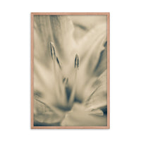 Calm Passions Floral Nature Photo Framed Wall Art Print