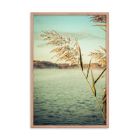 Golden Dreams Botanical Nature Photo Framed Wall Art Print