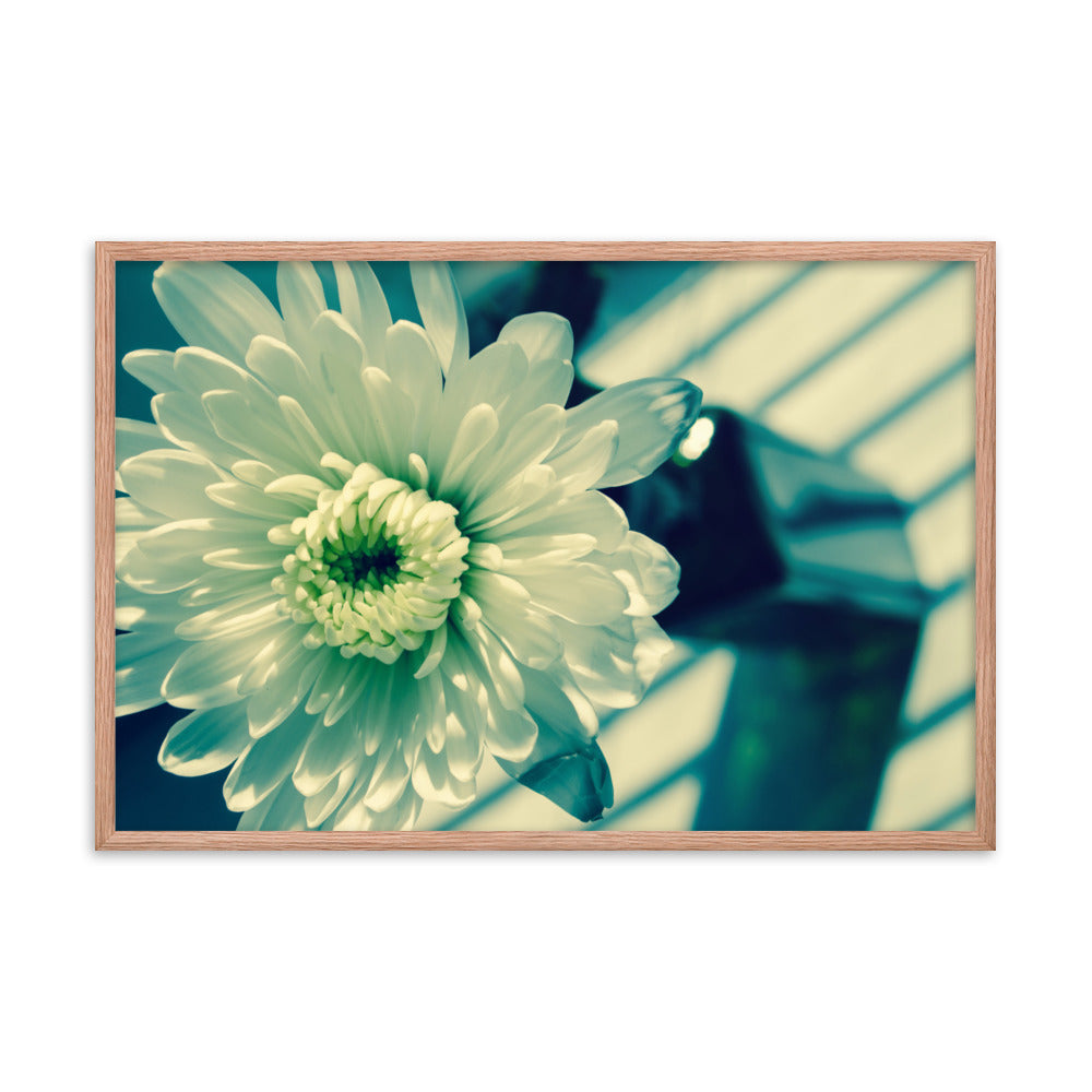 Melancholy Flower Floral Nature Photo Framed Wall Art Print