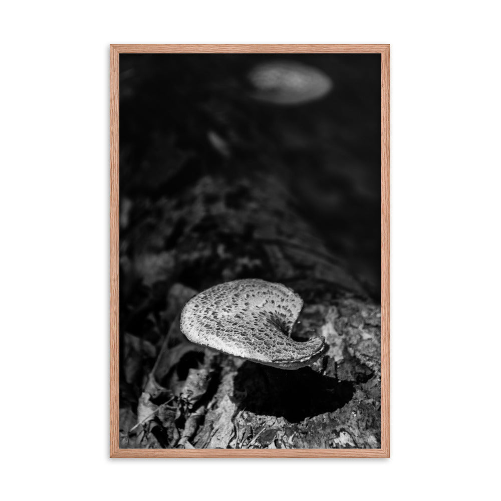 Wall Art Botanical Plant Prints: Mushroom on Log in Black & White Rustic / Country Style Nature Photo Framed Wall Art Print