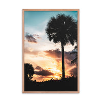 Palm Tree Silhouettes and Sunset Botanical Nature Photo Framed Wall Art Print