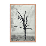 Rotting Away Alone Black and White Botanical Nature Photo Framed Wall Art Print