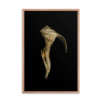States of Erosion Image 4 Whelk Shell Coastal Nature Photo Framed Wall Art Print