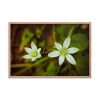 Wild Beauty Floral Nature Photo Framed Wall Art Print