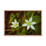 Wild Beauty Floral Nature Photo Framed Wall Art Print