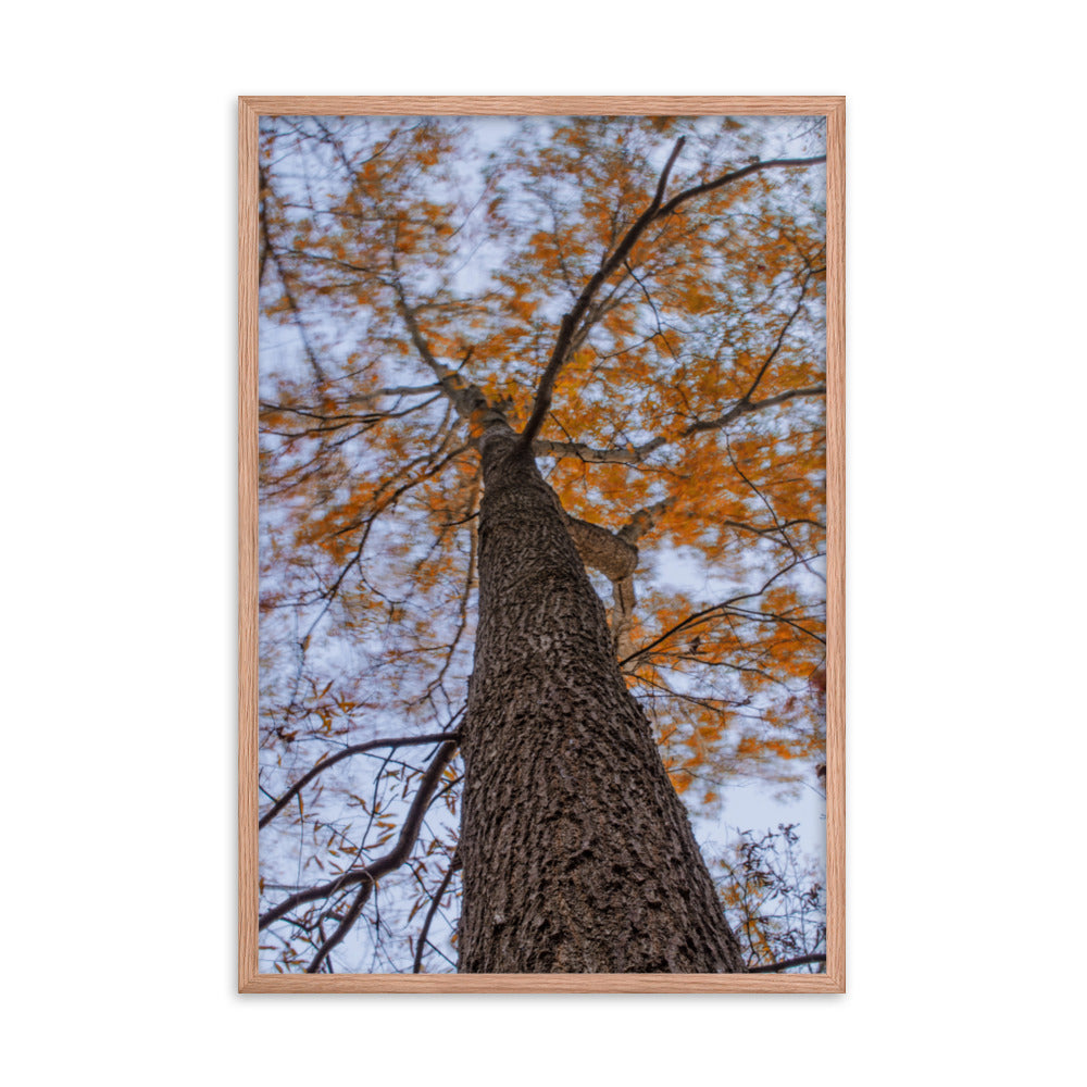 Wind in the Trees Botanical Nature Photo Framed Wall Art Print