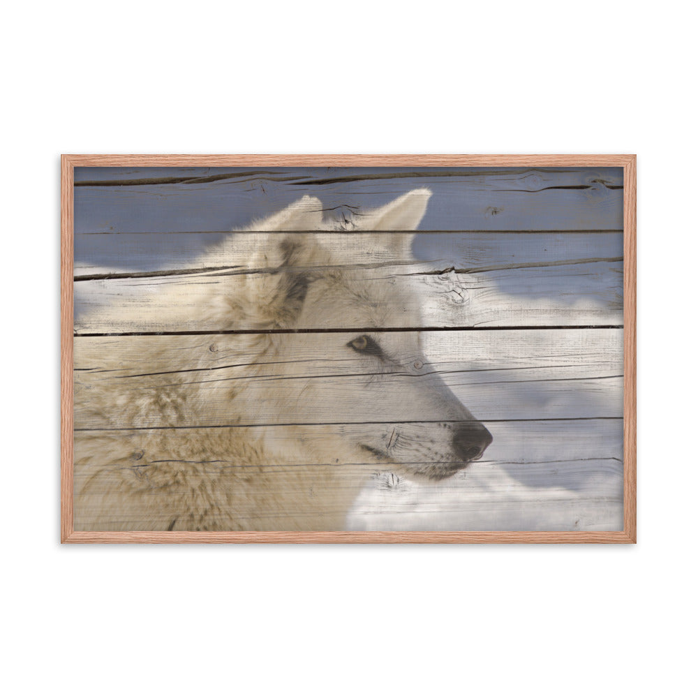 Wall Art For Sale Near Me: Aries the White Wolf Portrait on Faux Weathered Wood Texture / Animal / Wildlife / Nature Photographic Artwork - Framed Artwork - Wall Decor