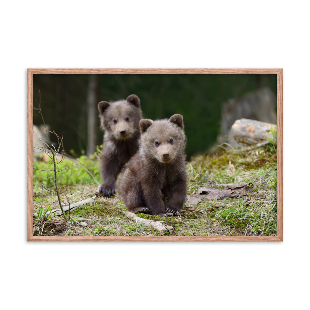 Nursery Wall Decor Animals: Adorable Cubs In The Trees / Animal / Wildlife / Nature Photograph Artwork - Framed Wall Art - Decor