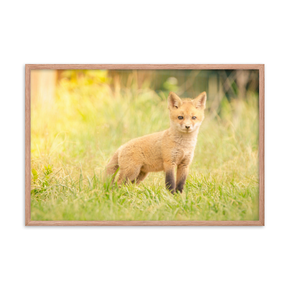 Etsy Nursery Art: Baby Red Fox in the Sun - Animal / Wildlife / Nature Artwork - Wall Decor - Framed Wall Art Print