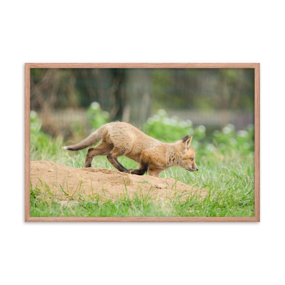 Woodland Animal Prints Nursery: Baby Fox Pup In Meadow - Animal / Wildlife / Nature Artwork - Wall Decor - Framed Wall Art Print