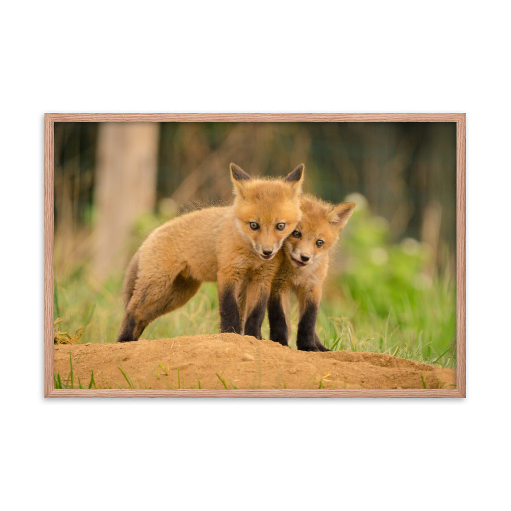 Cool Pictures For Bedroom Walls: Close to You Baby Fox Pups - Animal / Wildlife / Nature Artwork - Wall Decor - Framed Wall Art Print