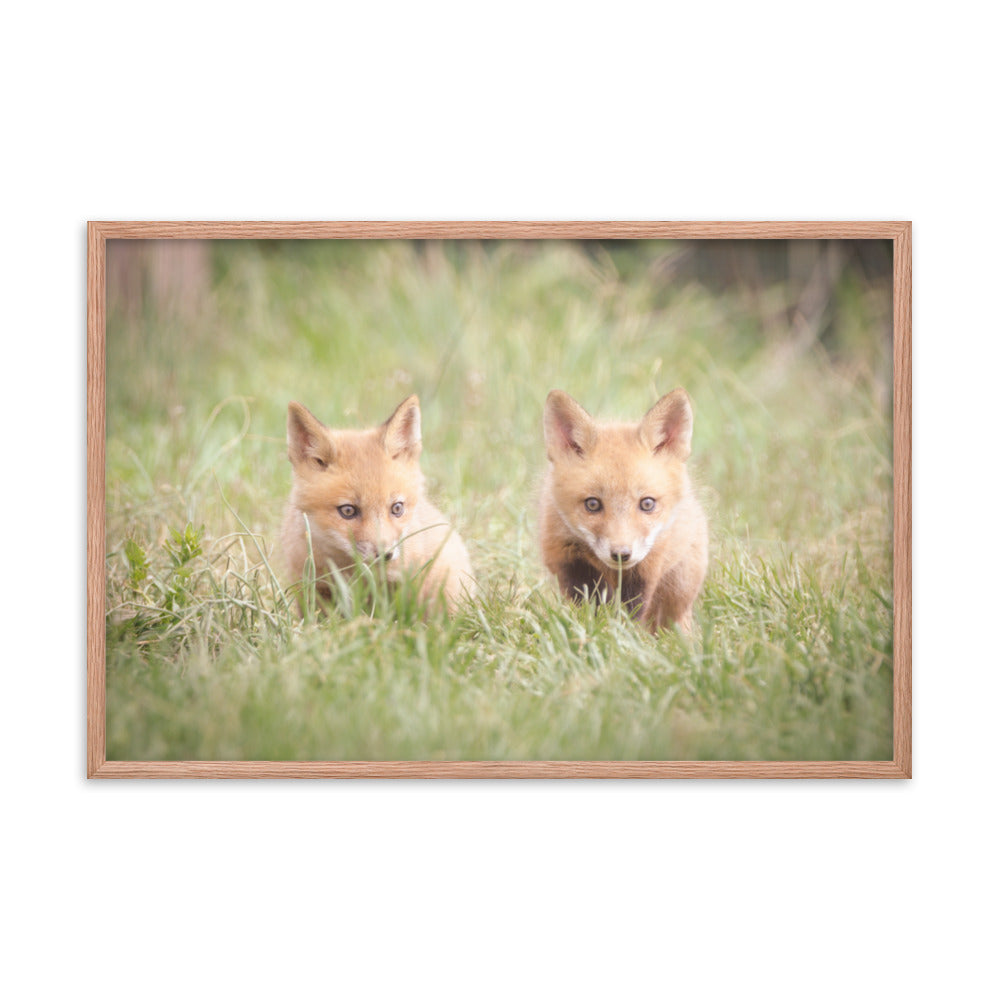 Baby Red Foxes Learning to Hunt Animal Wildlife Photograph Framed Wall Art Prints