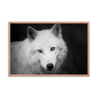 Black and White Portrait of White Wolf In The Forest Animal Wildlife Photograph Framed Wall Art Prints