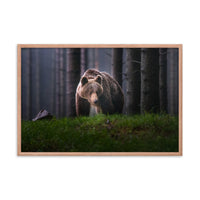 Brown Bear Walking Through Forest Wildlife Photo Framed Wall Art Prints