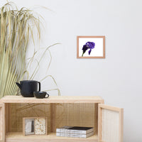 Iris On White Floral Nature Photo Framed Wall Art Print