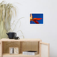 Fall Colors Botanical Nature Photo Framed Wall Art Print
