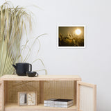 Golden Marsh Weeds Botanical Nature Photo Framed Wall Art Print