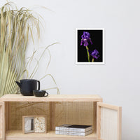 Iris on Black Floral Nature Photo Framed Wall Art Print