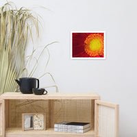 Nature's Beauty Floral Nature Photo Framed Wall Art Print