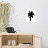 Palm Tree Silhouette on Pure White Botanical Nature Photo Framed Wall Art Print