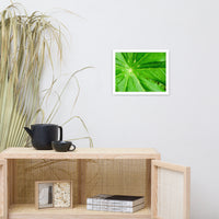 Peaceful Greenery Botanical Nature Photo Framed Wall Art Print