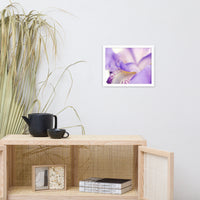 Soft Focus Iris Petals Floral Nature Photo Framed Wall Art Print