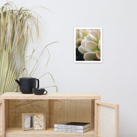 Succulent 4 Botanical Nature Photo Framed Wall Art Print