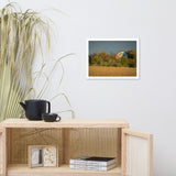 Abandoned Barn In The Trees Framed Photo Paper Wall Art Prints