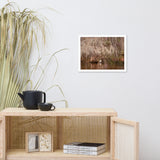 Ibis In The Cypress Trees Backwoods Coastal Landscape Photo Framed Wall Art Prints