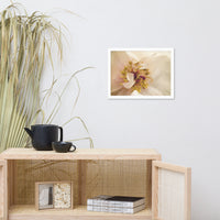 Eye of Peony Moody Midnight Floral Nature Photo Framed Wall Art Print