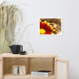 Floating Mum Floral Nature Photo Framed Wall Art Print