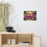Moody Young-And-Old Age Pink Zinnia Flower Bloom Floral Nature Photo Framed Wall Art Print