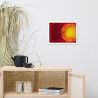Nature's Beauty Floral Nature Photo Framed Wall Art Print