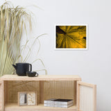 Seasons Change Botanical Nature Photo Framed Wall Art Print